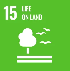 Goal 15 Life on Land United Nations Sustainable Development Goals SDGs Adeli Kenya Safaris Limited