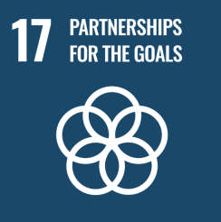 Goal 17 - Partnerships- United Nations Sustainable Development Goals - SDGs - Adeli Kenya Safaris Limited