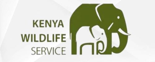 KWS Kenya