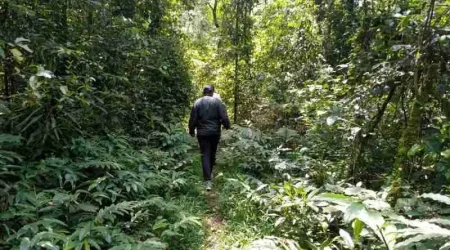 Kakamega Forest Western Kenya & Kisumu holiday deals Adeli Kenya Safaris best Africa sustainable safari tour company in Kenya Kakamega Forest Western Kenya & Kisumu holiday deals Adeli Kenya Safaris best Africa sustainable safari tour company in Kenya