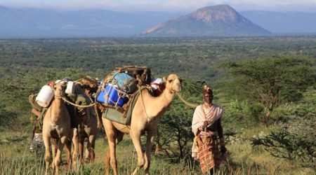 Kalama Community Wildlife Conservancy Samburu explore with Adeli Kenya Safaris Kalama Community Wildlife Conservancy Samburu explore with Adeli Kenya Safaris