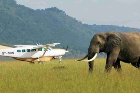 Kenya Flight safari tours Adeli Kenya Safaris best Africa sustainable safari tour company in Kenya (3)