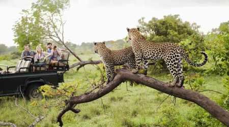 Kruger National Park in South Africa - best know for the big 5 of Africa - explore South Africa tour packages with Adeli Kenya Safaris