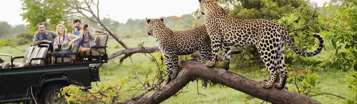 Kruger National Park in South Africa - best know for the big 5 of Africa - explore South Africa tour packages with Adeli Kenya Safaris