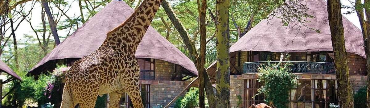 Lake Naivasha Sopa Lodge - Book Lake Naivasha Self drive hotel deals for Kenya residents with Adeli Kenya Safaris