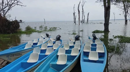 Lake Naivasha boat ride with Adeli Kenya Safaris Lake Naivasha boat ride with Adeli Kenya Safaris