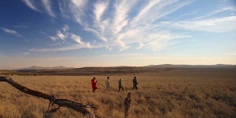 Lewa-Safari-Camp---Bush-Walk