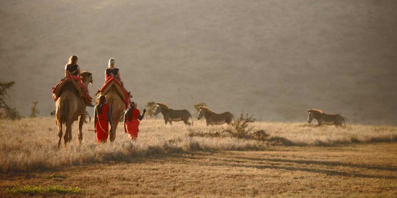 Lewa-Safari-Camp---Camel-Trekking