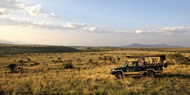 Lewa-Safari-Camp---Game-Drive-4