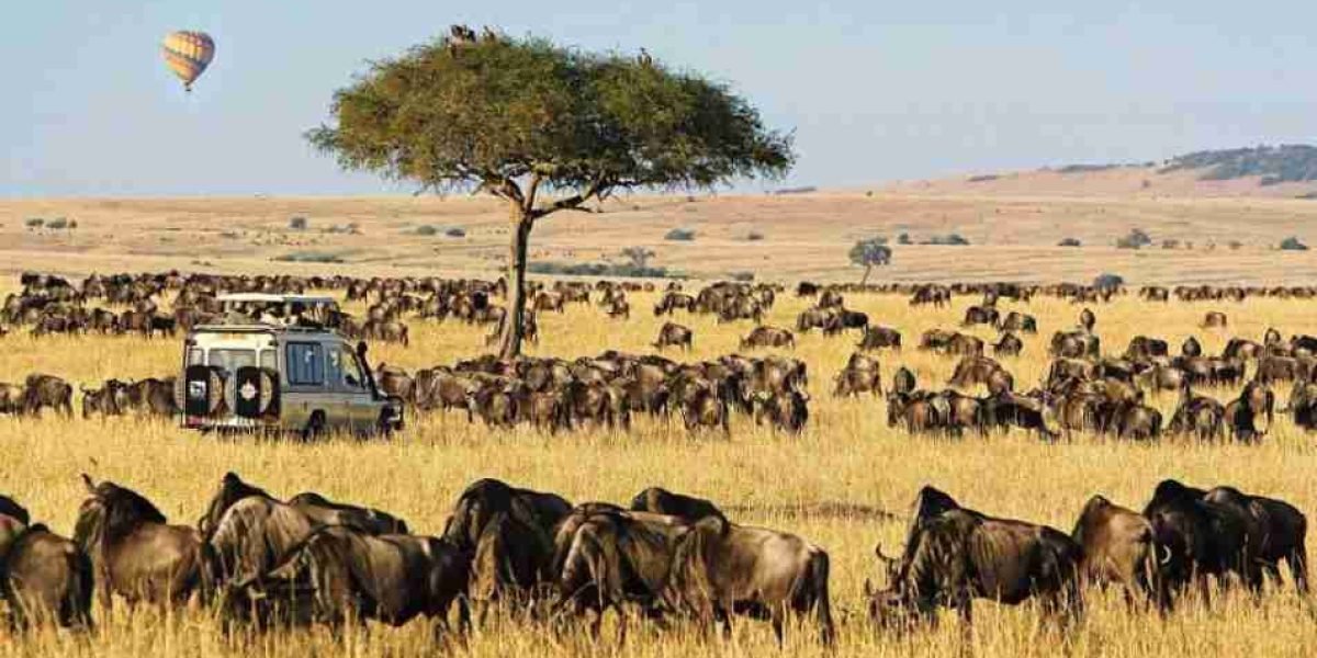 Masai-Mara-Kenya-best-Kenya-wildlife-wildebeest-Migration-safari-tour.jpg