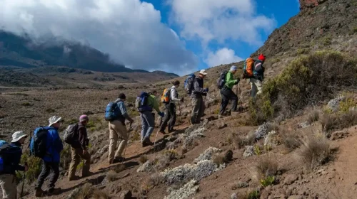 Mount Kilimanjaro Tanzania mountain climbing adventure tours with Adeli Kenya Safaris best Africa safari tour travel agency in Kenya and Tanzania scaled Mount Kilimanjaro Tanzania mountain climbing adventure tours with Adeli Kenya Safaris best Africa safari tour travel agency in Kenya and Tanzania scaled