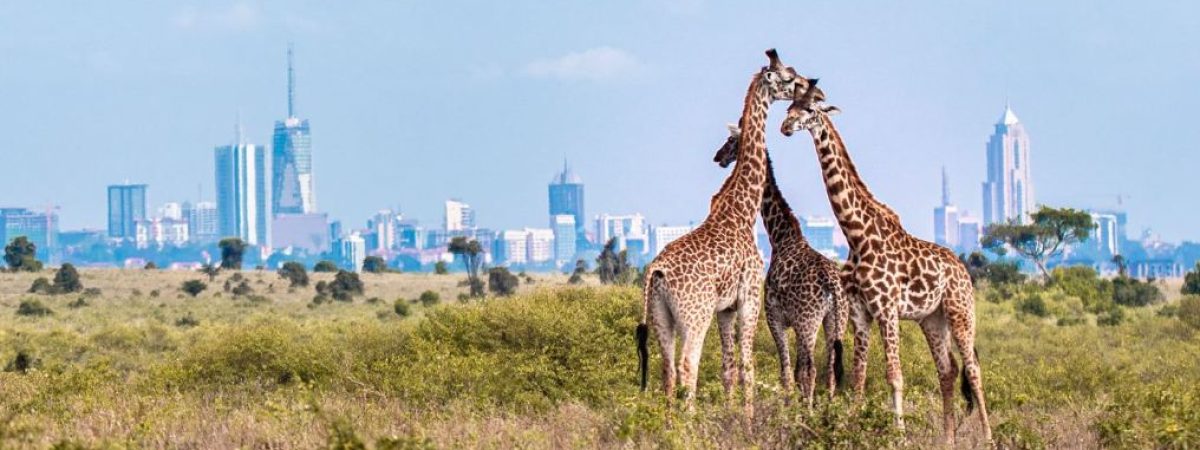 Nairobi National Park Kenya