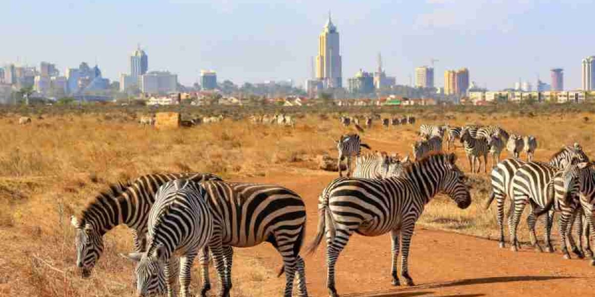 Nairobi National park excursion Adeli Kenya Safaris best Africa sustainable safari tour company in Kenya 2