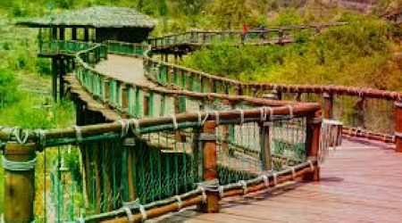 Nairobi Safari Walk explore with Adeli Kenya Safaris