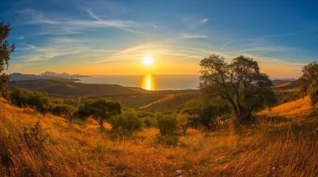 Ndere Island National Park explore with Adeli Kenya Safaris Ndere Island National Park explore with Adeli Kenya Safaris