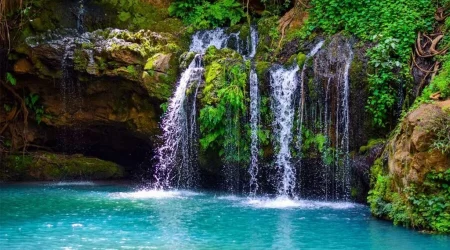 Ngare Ndare Forest Hiking and Canopy Walk Full Day Tour from Nairobi with Adeli Kenya Safaris 1 Ngare Ndare Forest Hiking and Canopy Walk Full Day Tour from Nairobi with Adeli Kenya Safaris 1