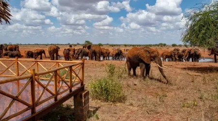 Ngutuni Wildlife Conservancy Ngutuni Safari Lodge explore with Adeli Kenya Safaris Ngutuni Wildlife Conservancy Ngutuni Safari Lodge explore with Adeli Kenya Safaris