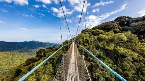 Nyungwe Forest National Park Rwanda explore with Adeli Kenya Safaris Nyungwe Forest National Park Rwanda explore with Adeli Kenya Safaris