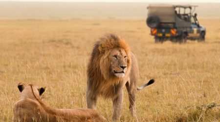 Oloisukut Conservancy Masai Mara explore with Adeli Kenya Safaris Oloisukut Conservancy Masai Mara explore with Adeli Kenya Safaris