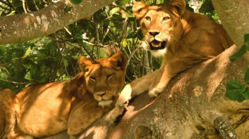 Queen Elizabeth National Park Queen Elizabeth National Park