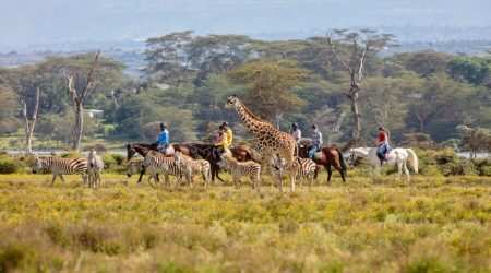 Sanctuary Farm in Naivasha explore with Adeli Kenya Safaris Sanctuary Farm in Naivasha explore with Adeli Kenya Safaris