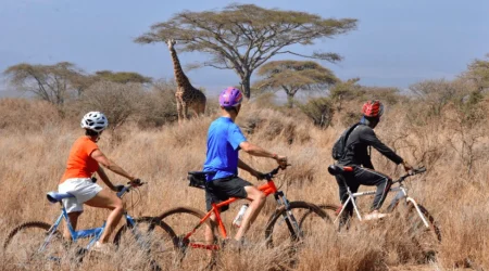 Satao Elerai Camp Amboseli National Park mountain biking safari Adeli Kenya Safaris best Africa sustainable safari tour company in Kenya Satao Elerai Camp Amboseli National Park mountain biking safari Adeli Kenya Safaris best Africa sustainable safari tour company in Kenya