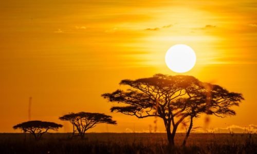Serengeti National Park Tanzania - Book best Kenya safaris, Tanzania safaris and Africa safari holidays with Adeli Kenya Safaris