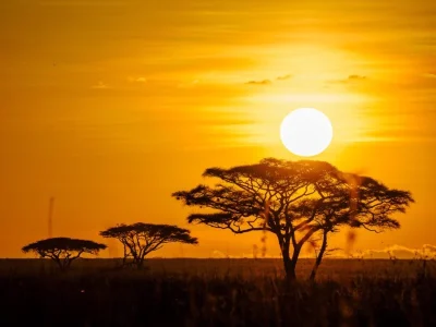 African sunset at Serengeti National Park Tanzania. Book Africa safari tour packages with Adeli Kenya Safaris. Kenya safaris, Tanzania tours, Zanzibar holidays, gorilla trekking & Nairobi excursions.