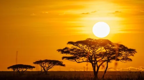 Serengeti National Park Tanzania Book best Kenya safaris Tanzania safaris and Africa safari holidays scaled African sunset at Serengeti National Park Tanzania. Book Africa safari tour packages with Adeli Kenya Safaris. Kenya safaris, Tanzania tours, Zanzibar holidays, gorilla trekking & Nairobi excursions.