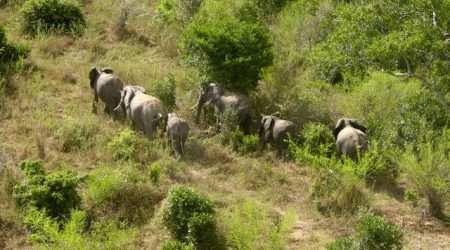 Shimba Hills National Reserve explore with Adeli Kenya Safaris Shimba Hills National Reserve explore with Adeli Kenya Safaris