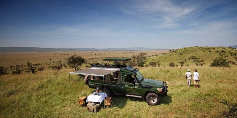 Silverless_Pioneer_IMG_7906