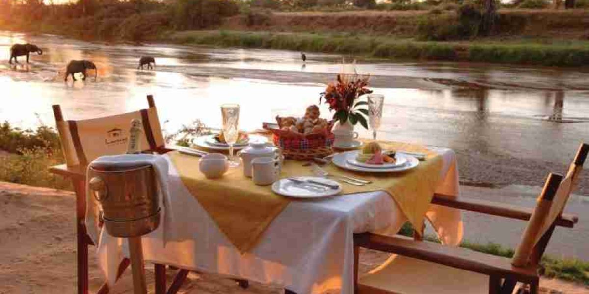 Soroi Larsens Camp   Samburu National Reserve  Adeli Kenya Safaris   best Africa sustainable safari tour company in Kenya