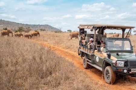 Soroi Lionsbluff Lodge - Lumo Wildlife Conservancy - Kenya Luxuy safaris. Book with Adeli Kenya Safaris