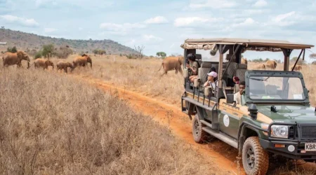 Soroi Lionsbluff Lodge Lumo Wildlife Conservancy Kenya Luxuy safaris Soroi Lionsbluff Lodge Lumo Wildlife Conservancy Kenya Luxuy safaris