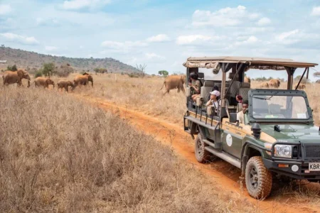 Soroi Lionsbluff Lodge Lumo Wildlife Conservancy Kenya Luxuy safaris