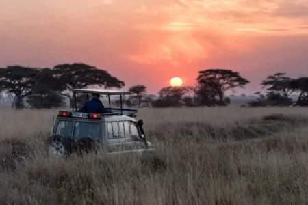 Tanzania Safaris from Arusha Adeli Kenya Safaris scaled 1 scaled