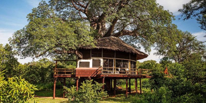 Tarangire-Treetops---accommodation---exterior-view-of-Treehouse-Suite