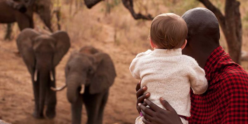 Tarangire-treetops-elephant-hole