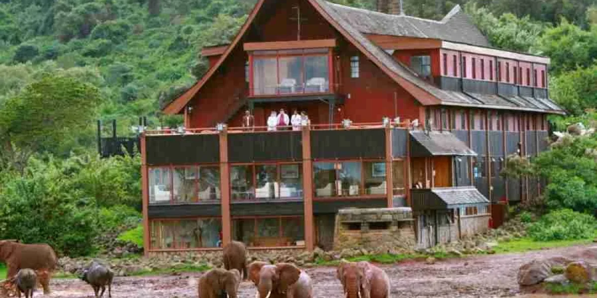 The Ark Lodge Aberdare National Park in Kenya Adeli Kenya Safaris best Africa sustainable safari tour company in Kenya