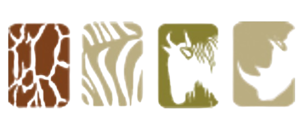 The Safari Collection