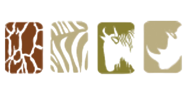The Safari Collection
