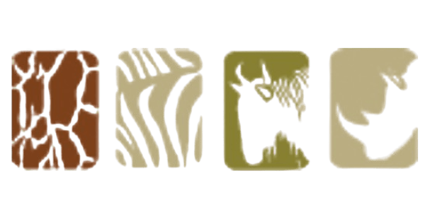 The Safari Collection