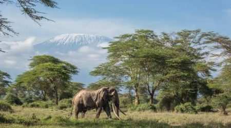 The Sidai Oleng Wildlife Sanctuary Kimana Sanctuary Amboseli Kenya explore with Adeli Kenya Safaris The Sidai Oleng Wildlife Sanctuary Kimana Sanctuary Amboseli Kenya explore with Adeli Kenya Safaris