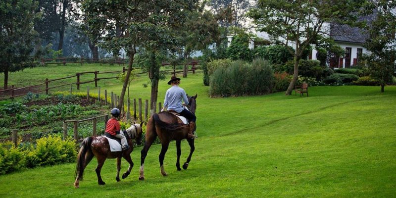 TheManor---Horse-Riding-2