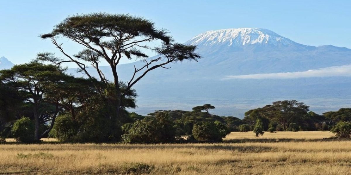 amboseli