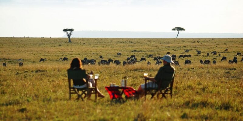 Adeli Kenya Safaris is the best safari tour operator in Kenya specializing in mid-range and luxury safari tours in Kenya, Tanzania, Zanzibar, Uganda & Rwanda
